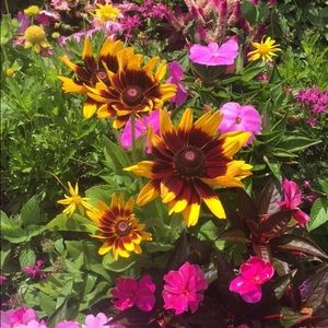 Meet your Posher, Erin