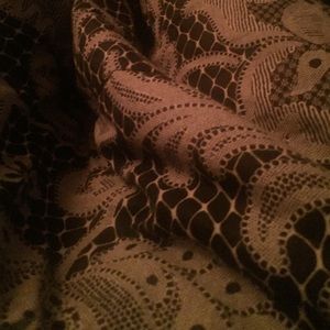 Meet your Posher, Dayanna