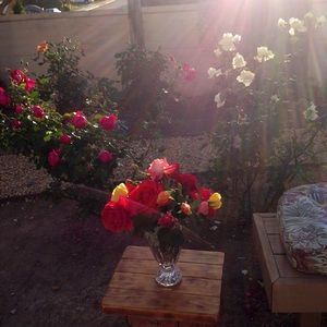 Meet your Posher, Robin