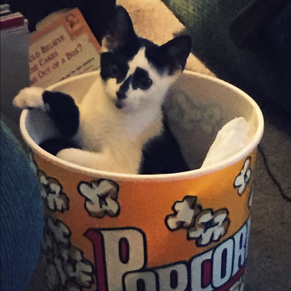 Meet your Posher, Dayna - Picture 1 of 1