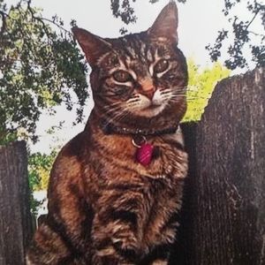 Meet your Posher, Lynne