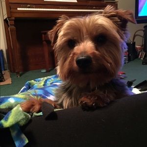 Meet your Posher, Caroline