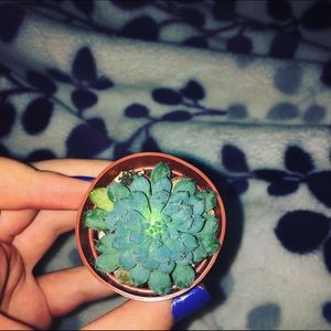 Meet your Posher, Brielle