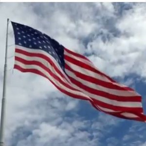 Meet your Posher, Lois