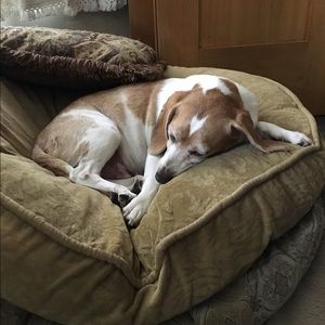 Meet your Posher, Jillian