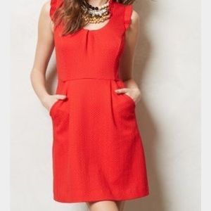 NWOT Tabitha blue pique dress sz 6