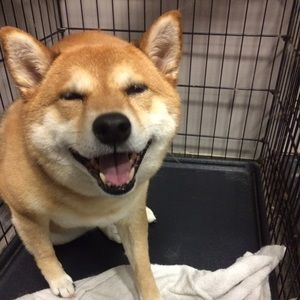 Meet your Posher, Fabi