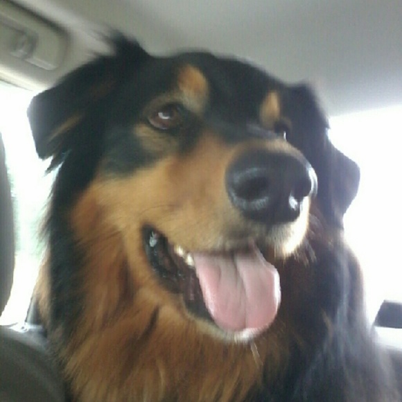 Meet your Posher, Karley