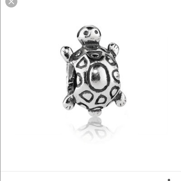 100% authentic turtle charm