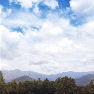 Meet your Posher, Sydney