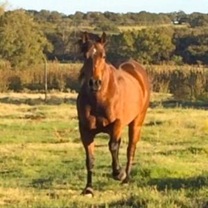 Meet your Posher, Heather