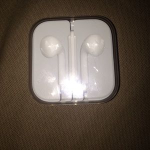 Apple earbud case