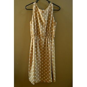 Beige and White Polkadot J crew dress