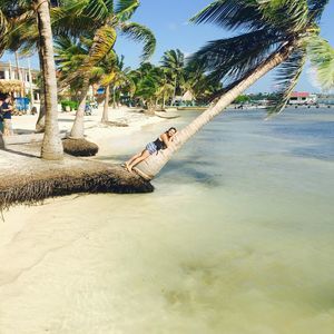 Meet your Posher, Veronica