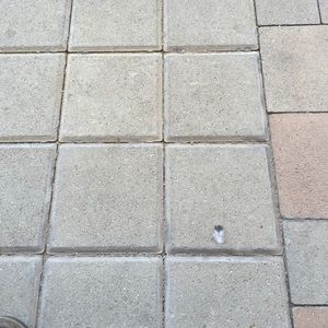 Meet your Posher, Rodolfo