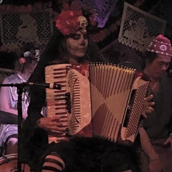 Meet your Posher, Zelda - Picture 1 of 1