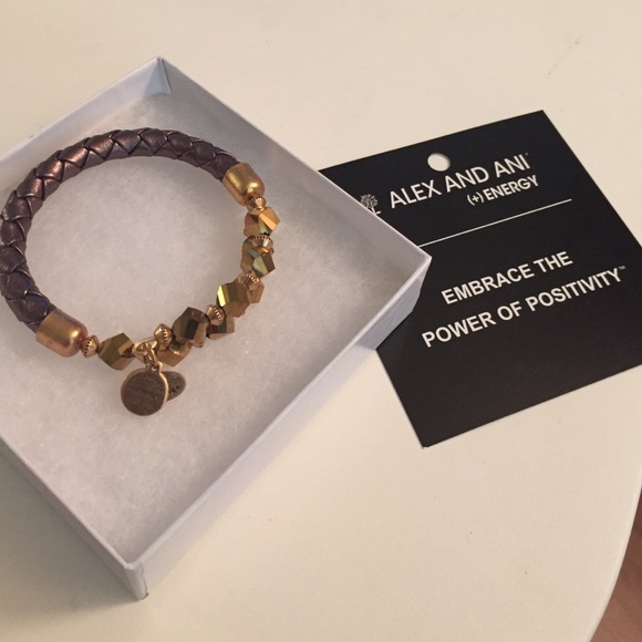 Alex and Ani Bangle
