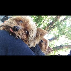 Meet your Posher, Sara