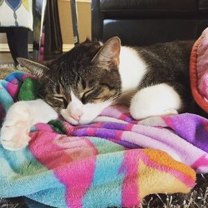 Meet your Posher, Jill