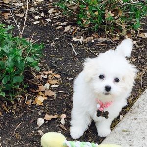 Meet your Posher, Mary