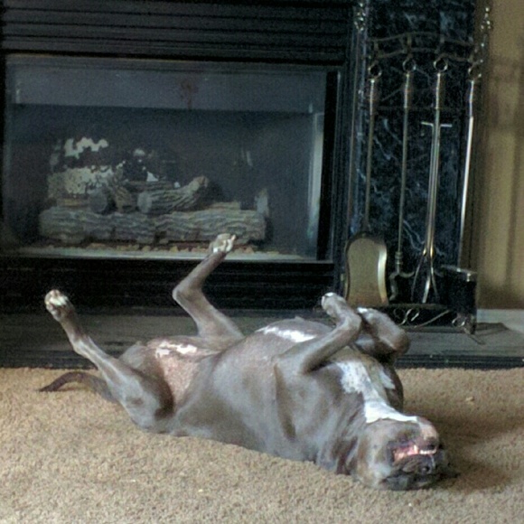 Meet the posher - Picture 2 of 6