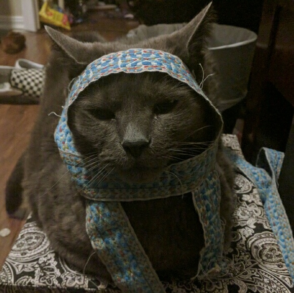 Meet the posher - Picture 3 of 6