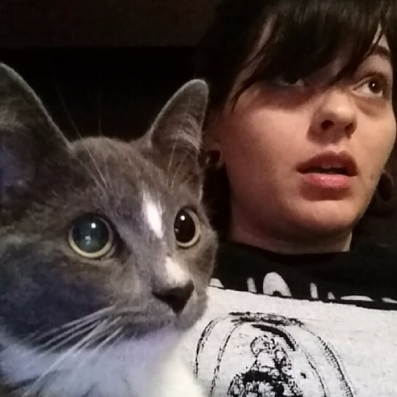 Meet the posher - Picture 4 of 6