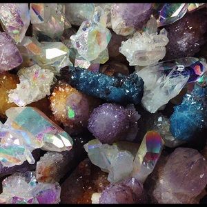 🌻 Listing for P 🌻