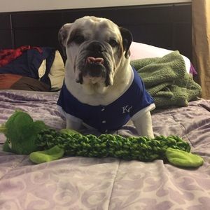 Meet your Posher, Mallory