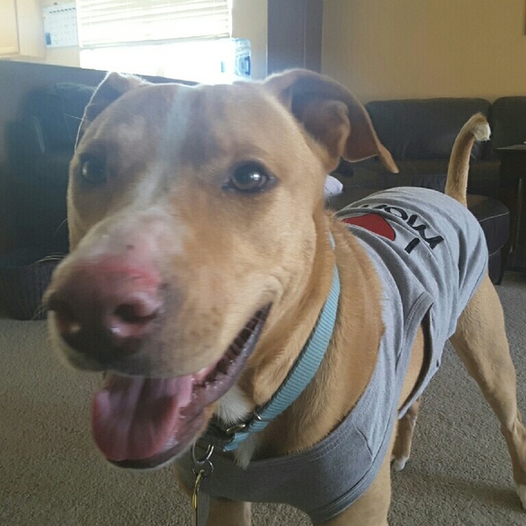 Meet your Posher, Kristina - Picture 2 of 4