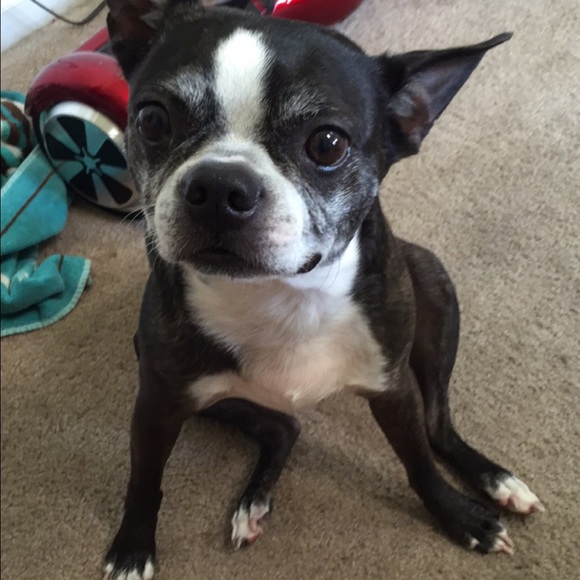 Meet your Posher, Grayson