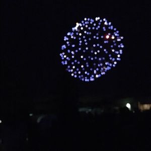 Meet your Posher, Maia