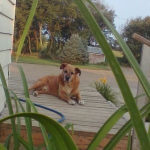 Meet your Posher, Jami