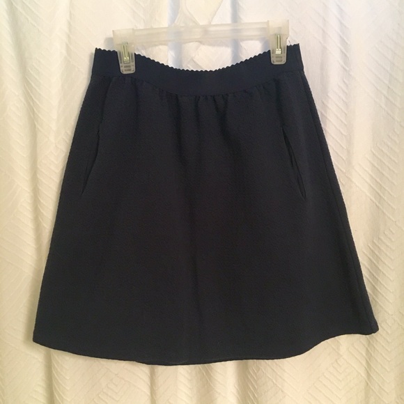 Navy Anthropologie Skirt