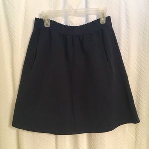 Navy Anthropologie Skirt