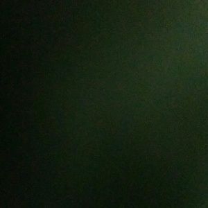 Meet your Posher, Emiley