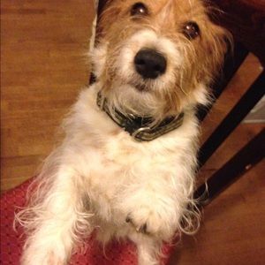 Meet your Posher, Laura