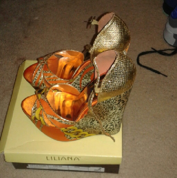 Orange and gold wedges