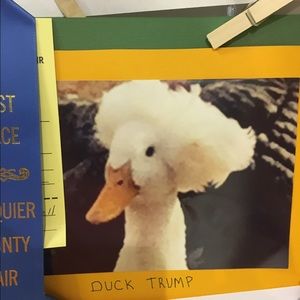 Meet your Posher, Tiffany