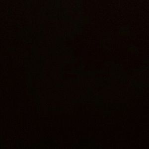 Meet your Posher, Seana