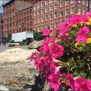 Meet your Posher, Ann marie