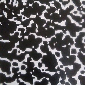 Meet your Posher, Bruce