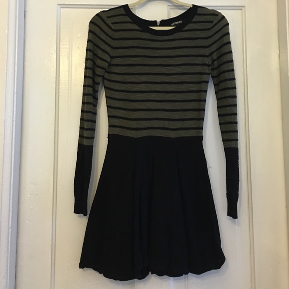 Express Skater Dress