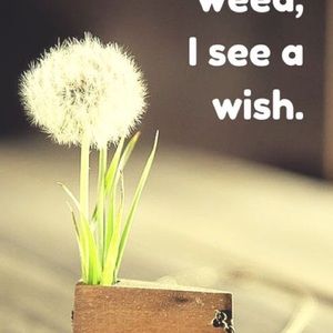 Meet your Posher, Angie