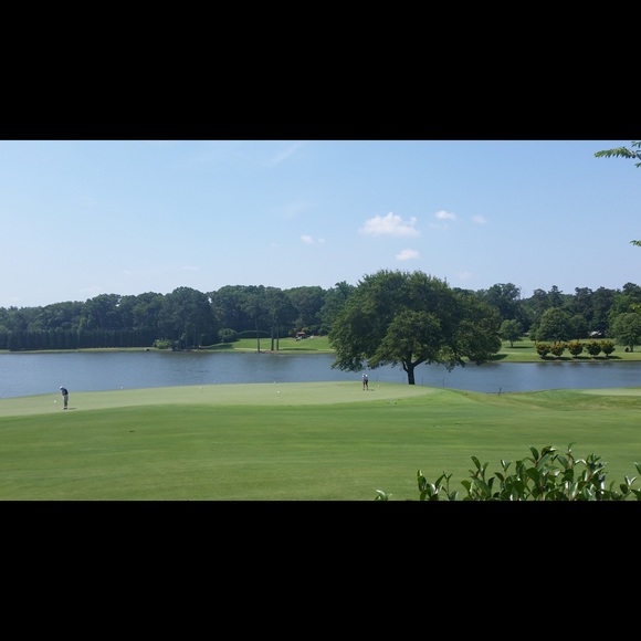 Meet your Posher, Donnita