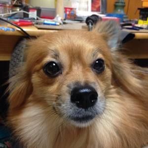 Meet your Posher, Laura