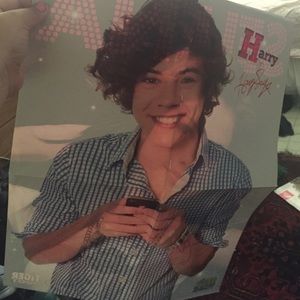 Harry Styles Fetus Poster