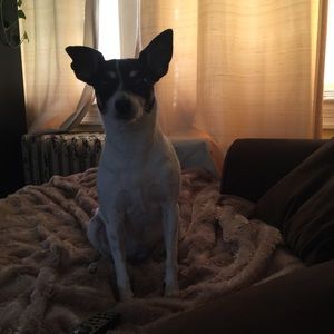 Meet your Posher, Steph