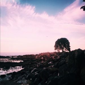 Meet your Posher, Zoe