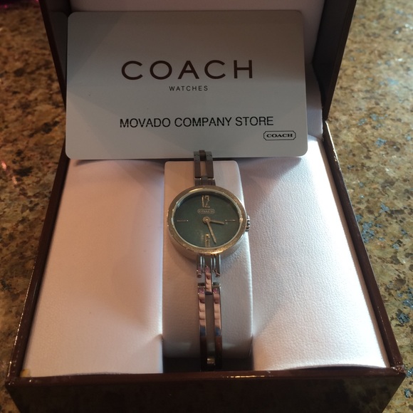 Stainless steel coach watch main image 4
